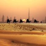 Camel tourists caravan walking on sunset desert near Dubai skyline